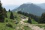 IMG-20210703-WA0002-Copy