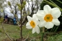 IMG-20180415-WA0032