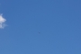 20180729_135955