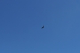 DSCN0185