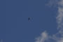 DSCN0198