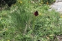 DSCN0208