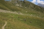 DSCN0215