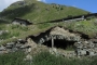 DSCN0229
