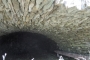 DSCN0234