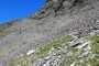 DSCN0533