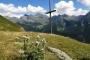 DSCN0652
