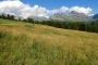 DSCN0681