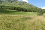 DSCN0682