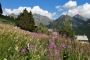DSCN0683