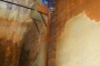 davide (12)
