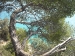 capo-noli-27