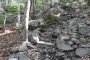 DSCN0009