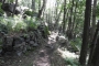 DSCN0013