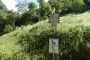DSCN0030