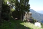 DSCN0052