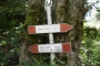 DSCN0056