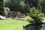 DSCN0078