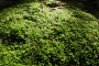 DSCN0081