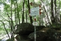 DSCN0087