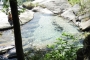 DSCN0092
