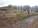 dscf2241_799x599_799x599