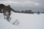 DSCN9534
