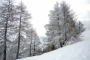 DSCN9598