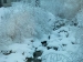 alpe-devero-06012012-413