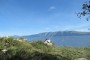 IMG_8915