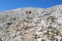 DSCN1324