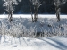 immagine-147_783x588