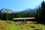 DSCN3118