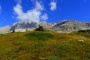 DSCN3133