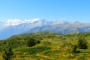 DSCN3134