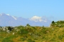 DSCN3135
