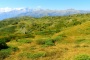 DSCN3137