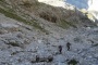 DSCN3306