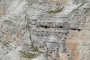 DSCN3356
