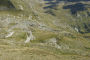 IMG_0642-Copy