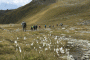 IMG_0716-Copy