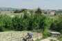 WhatsApp-Image-2022-05-01-at-23.22.37