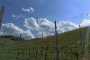 WhatsApp-Image-2022-05-02-at-09.47.46