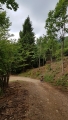 20180616_132613
