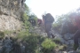 DSCN9191