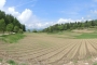 DSCN9293