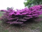 dscn2190