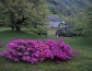 dscn2192