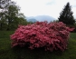 dscn2194