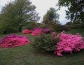 dscn2200